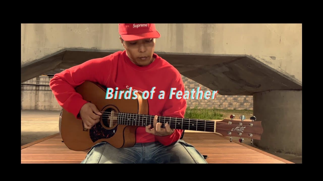 Billie Eilish - Birds of a Feather (cover) YouTube 비디오 썸네일